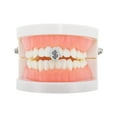 thumbnail image 2 of Unique Bargains 1 Pc Fake Grills Hip Hop Dollar Sign Teeth Grillz Silver Tone, 2 of 6