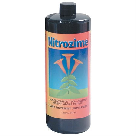 Nitrozime, qt