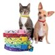 thumbnail image 1 of Collar para mascotas HUOGUO, bonito collar para gatos, cachorros y gatitos, 19-32 cm, 1 of 3