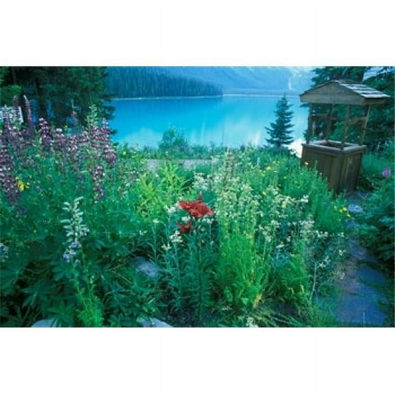 Posterazzi PDDCN02RTI0014 Emerald Lake Yoho National Park British Columbia Poster Print by Rob Tilley - 26 x 17 in.