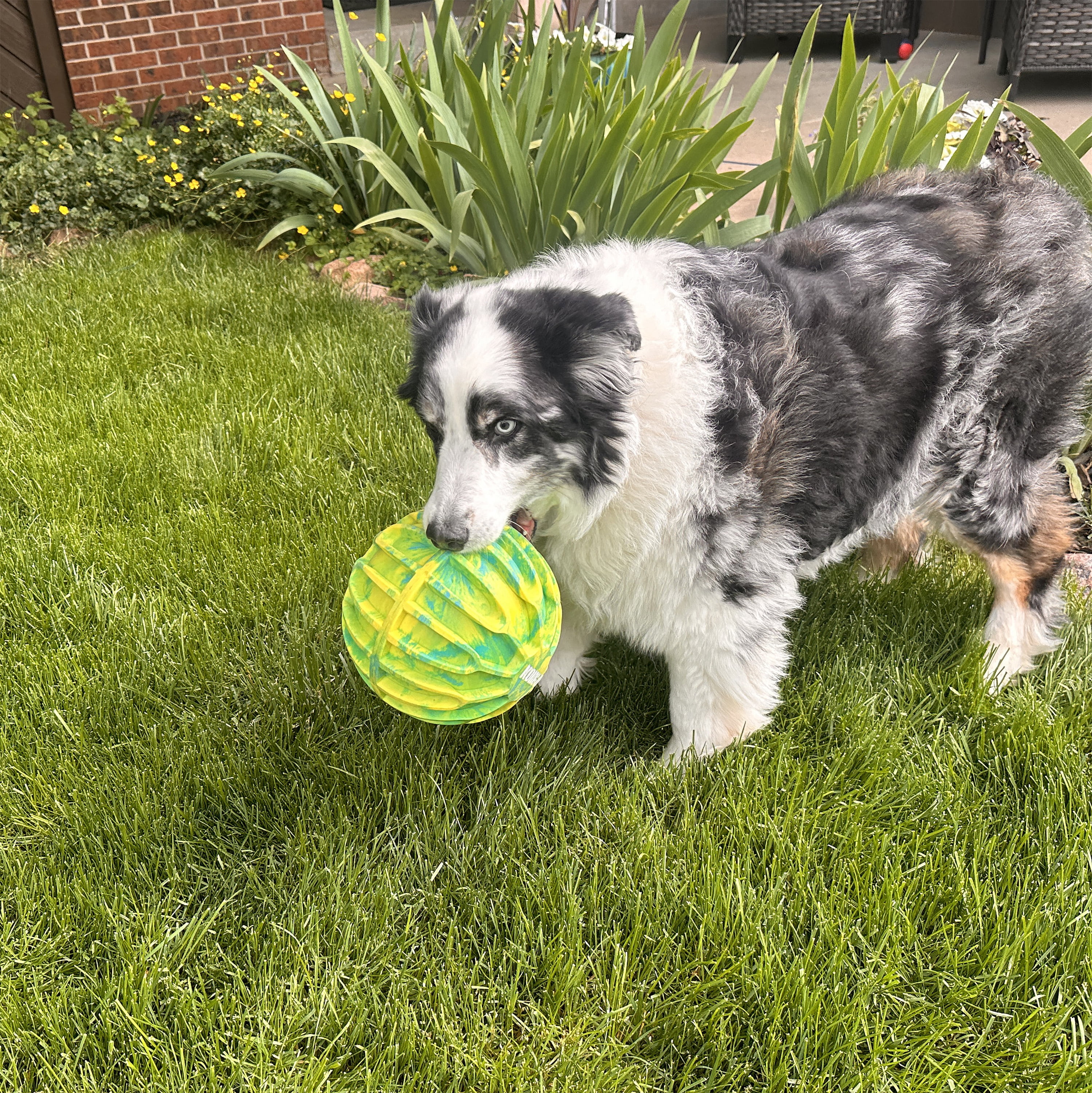 KONG® Flexball Sport Waterproof Dog Toy, Extra Large