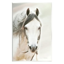 Stupell Industries White Horse Portrait Animals & Insects Photography Unframed Art Print Wall Art, 10 x 15