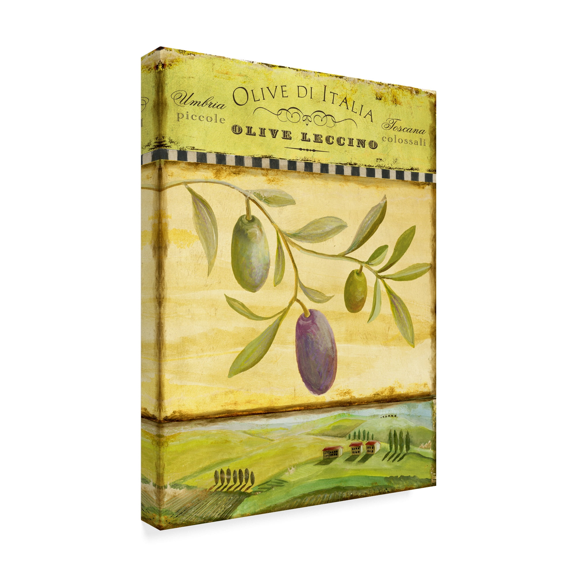 Trademark Fine Art 'Olive Grove Toscana' Canvas Art by Art Licensing Studio