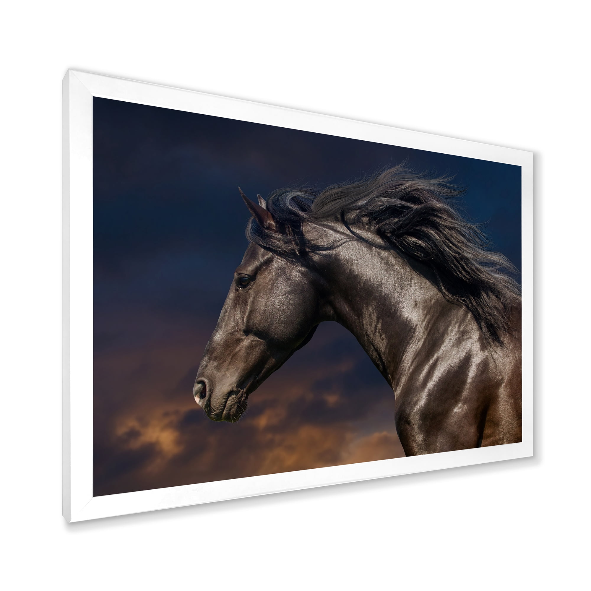 Designart 'Close Up Of Thoroughbred Nonius Stallion Horse III' Farmhouse Framed Art Print