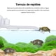 thumbnail image 2 of Muelle de plástico para tortugas, plataforma para tomar el sol, estante, decoración de peceras, oruga, techo solar, terraza, isla, estación de Decoración del hábitat del terrario transparente METRO Methold JJ13301-02, 2 of 6