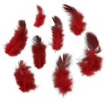 thumbnail image 2 of Paquete de 300 plumas decorativas de gallina de guinea para decoración artesanal DIY figura decorativa de Pascua y Navidad, 2 of 7