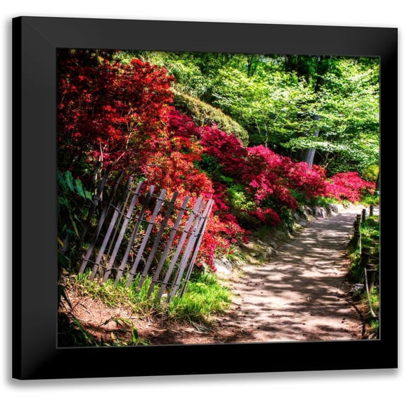 Hausenflock, Alan 12x12 Black Modern Framed Museum Art Print Titled - Japanese Garden VI