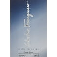 thumbnail image 3 of Salvatore Ferragamo Subtil Men's 3.4-ounce Eau de Toilette Spray, 3 of 4