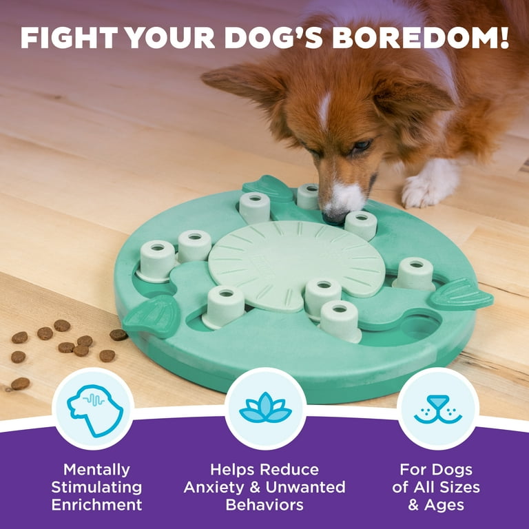 Outward Hound Dog Worker Treat Puzzle Enrichment Toy Level 3