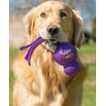 thumbnail image 2 of Juguete para perro Kong Wubba Grande, 2 of 4