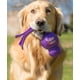 thumbnail image 2 of Juguete para perro Kong Wubba Grande, 2 of 4