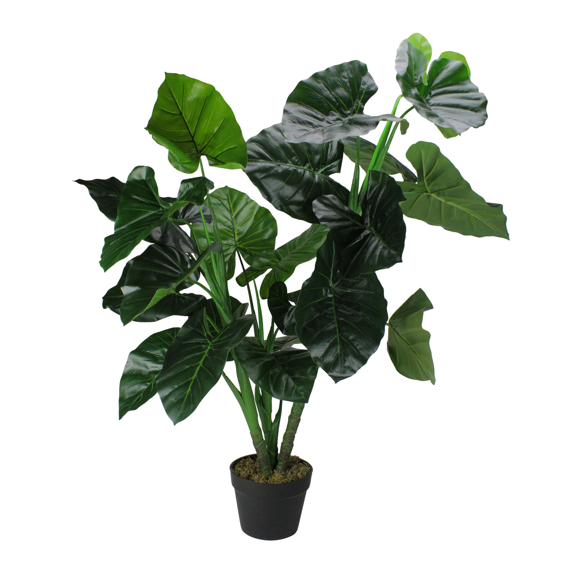 49" Potted Two Tone Green Wide Taro Leaf Artificial Floor Plant Unlit