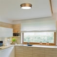 thumbnail image 2 of WAC Lighting York 12" LED Modern Aluminum Flush Mount in Aged Brass, 2 of 6