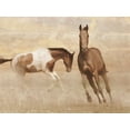 thumbnail image 2 of Prime, Marcus 32x25 Gold Ornate Wood Framed with Double Matting Museum Art Print Titled - Running Free 2, 2 of 4