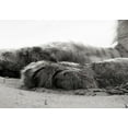 thumbnail image 5 of Tiptophomedecor Stretched Canvas Animal Art - Lioness In A Desert - Stretched & Framed Ready To Hang Art, 5 of 5