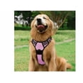 thumbnail image 3 of Pechera Arné Para Perro Ajustable Con Bandas Reflectivas Xtellar rosa, 3 of 4