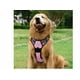 thumbnail image 3 of Pechera Arné Para Perro Ajustable Con Bandas Reflectivas Xtellar rosa, 3 of 4