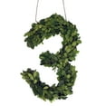 thumbnail image 1 of Modern Home 12" Real Preserved Boxwood Monogram Wreath Letters - 3, 1 of 2