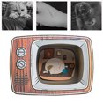 thumbnail image 4 of Cat Scratch House,Cardboard Cat Scratch House Cardboard Cat House Cat Scratcher Hut Built for Precision, 4 of 8
