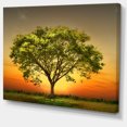 thumbnail image 2 of Green Tree against Setting Sun - Trees Canvas Art Print, 2 of 4