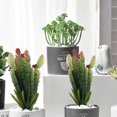 thumbnail image 4 of Planta de cactus artificial realista, material de decoración del hogar de bricolaje (paquete de 2), 4 of 5