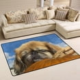 thumbnail image 2 of SKYSONIC 72x48in Fall Pekingese Dog Pumpkin Area Rug, Non-Slip Floor Carpet for Indoor Living Dining Room and Bedroom Area, 2 of 5