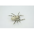 thumbnail image 6 of Spider, Wolf, Arachnids, Museum Quality, Hand Painted, Rubber Insect, Realistic, Figure, Model, Replica, Toy, Kids, Educational, Gift, 3 1/2" CH530 BB158, 6 of 9