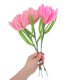 thumbnail image 5 of BESTYASH Kit De Flores DIY Con Chenille Flexible Rosa Para Manualidades Creativas, 5 of 6