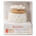 thumbnail image 2 of Diffuseur botanique ScentSationals - Branches, 2 of 4