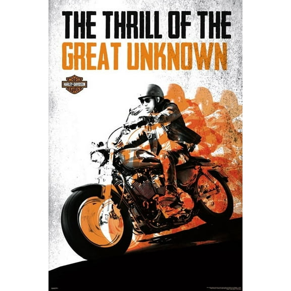 Harley Davidson - Great Laminated Poster (24 x 36)