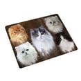 thumbnail image 1 of Couverture Chat Persan Rustique 5 BLNKT104610, 1 of 3