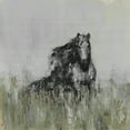 thumbnail image 2 of Parvez Taj Dark Horse at the Meadow Canvas Wall Art, 2 of 7