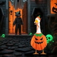 thumbnail image 6 of Porch Goose Outfits, Halloween Goose Outfit Spring Costume Set, Dress with Straw Hat and Sunglasses for Lawn Patio Yard Outdoor Decor (#06), 6 of 10