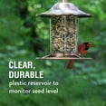 PerkyPet Outdoor Squirrel Style Copper Panorama Bird Feeder, Plastic