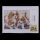 thumbnail image 5 of 2X Kits De Ganchillo DIY, Kit De Gancho De De De Alfombras De Ganchillo Sin Terminar De Alfombras De (Perros, 5 of 9