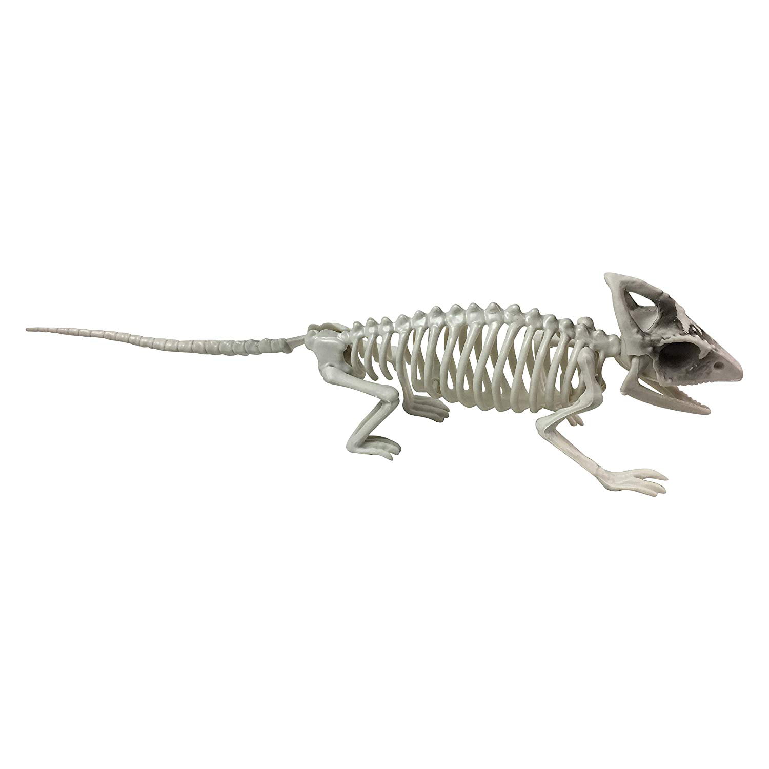 Gecko Lizard Skeleton Halloween Decoration - Walmart.com