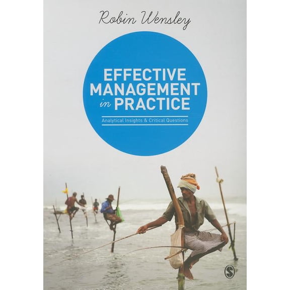 Effective Management in Practice: Analytical Insights and Critical Questions, (Paperback)