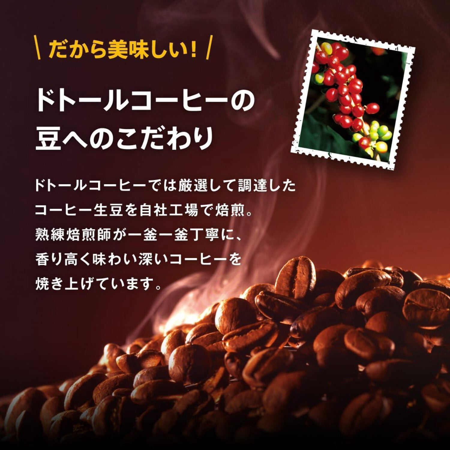 DOUTOR Coffee Drip Pack Rich Aroma Blend 100 Packs Japan - Tokyo
