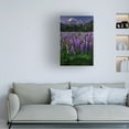 thumbnail image 2 of Trademark Fine Art Marina Poushkina Mt Robson Canvas Wall Art, 2 of 4