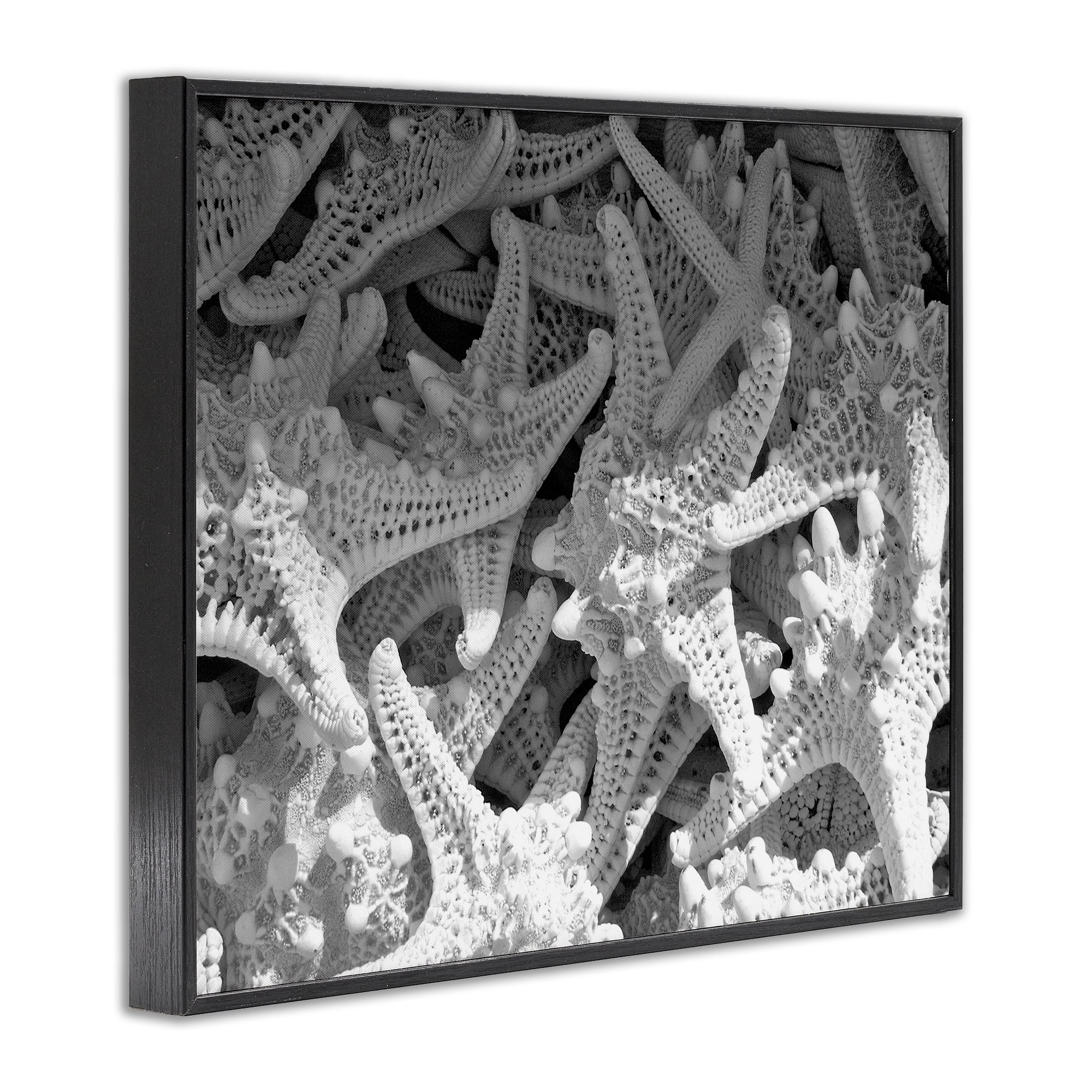 Stupell Industries Nautical Starfish Pile Coastal Photography Black Framed Art Print Wall Art, 20 x 16