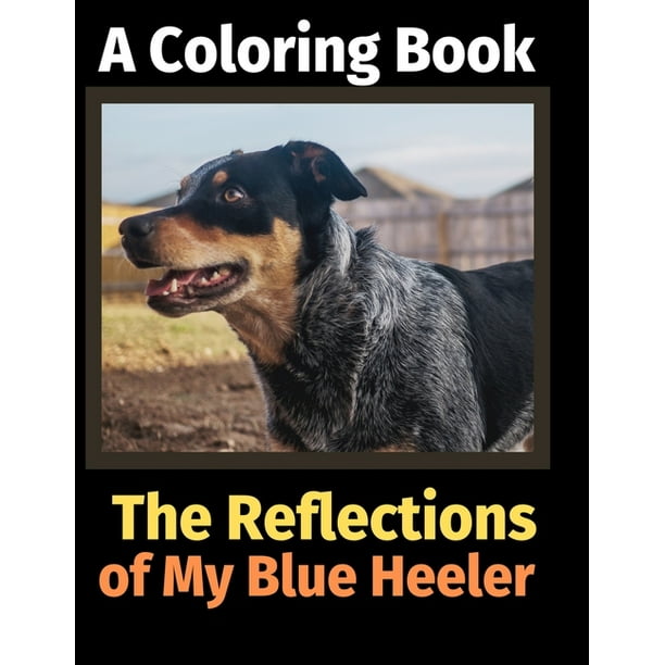 The Reflections of My Blue Heeler : A Coloring Book - Walmart.com