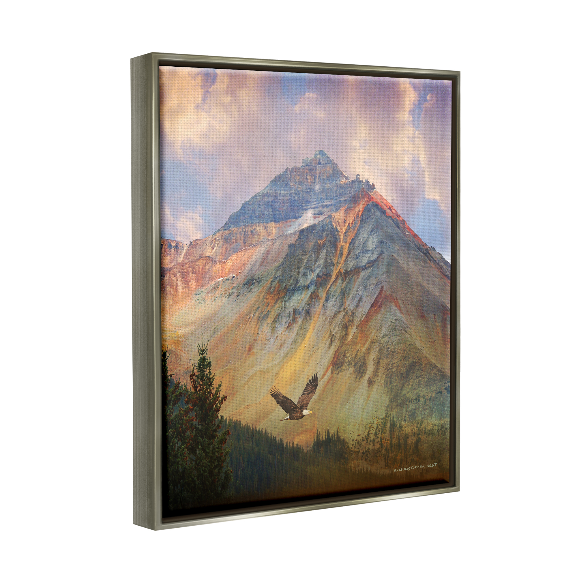 Stupell Soaring Eagle Mountain Valley Landscape Photography Gray Floater Framed Art Print Wall Art