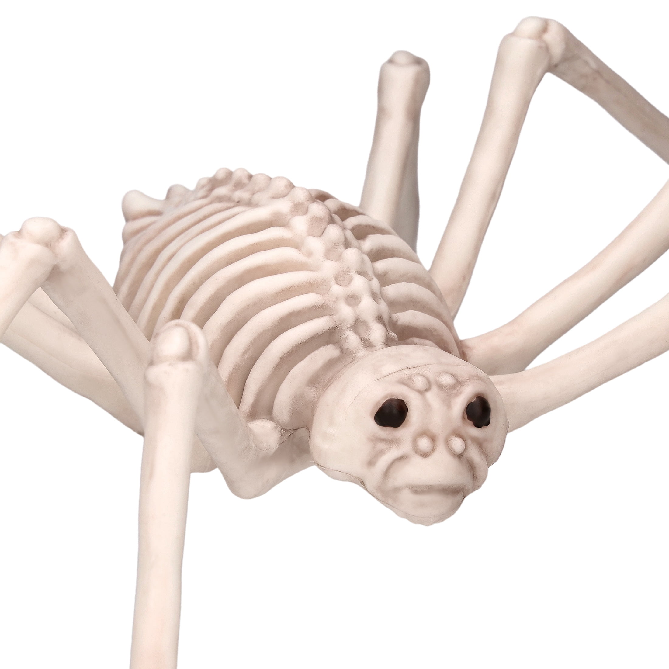 Faux Skeleton Spider Decoration, 5.3", Halloween by Way To Celebrate