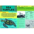 thumbnail image 5 of Pocket Guide to Turtles, Snakes, and other Reptiles (Hardcover), 5 of 6