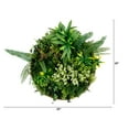 thumbnail image 3 of Nearly Natural Queensland Rainforest  Artificial Round Framed Living Wall Panel - 20", 3 of 9