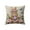 D, variant on Beforeyayn Easter Pillow Covers 18x18 Inch Easter Eggs Bunny Flowers Spring Cute Rabbit Easter Themed Decorative Throw Pillow Cases Outdoor Farmhouse Decoration for Sofa Couch Bed