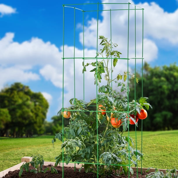 Expert Gardener 47in 4 Panel Tomato Tower Plant Cage - Walmart