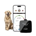 thumbnail image 1 of Waggle Sensor de temperatura y humedad de seguridad para RV/perros…, 1 of 5