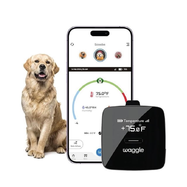 Waggle Sensor de temperatura y humedad de seguridad para RV/perros…