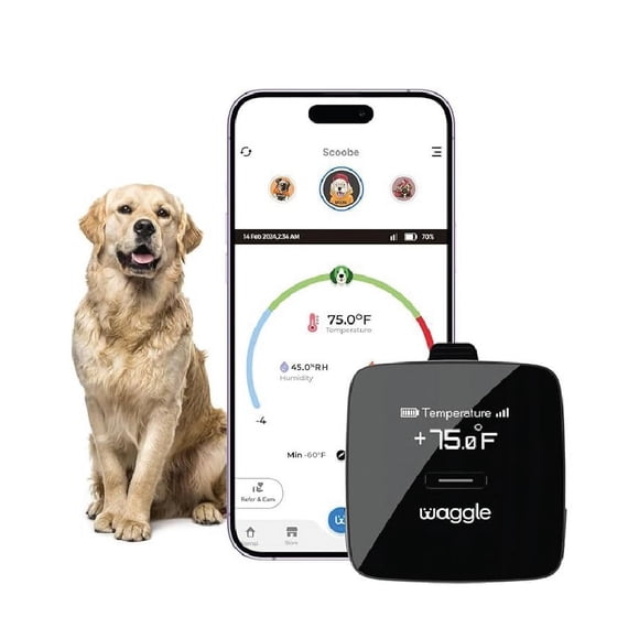 Waggle Sensor de temperatura y humedad de seguridad para RV/perros…